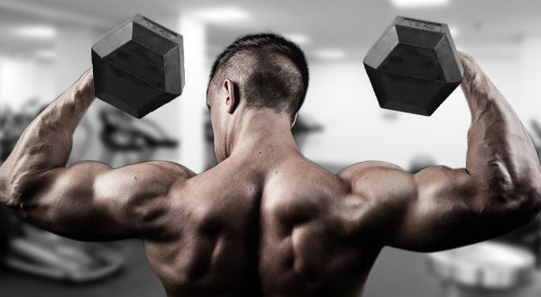 exercises for shoulders